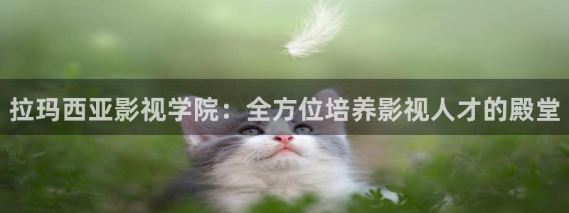 大地影视资源在线观看星辰影院