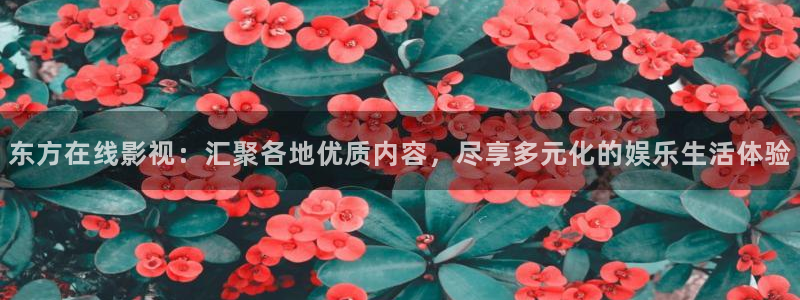 大地影院招聘：东方在线影视：汇聚各地优质内容，尽享多元化的娱乐生活体验