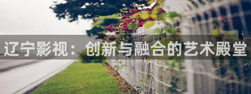 大地日本影院：辽宁影视：创新与融合的艺术殿堂