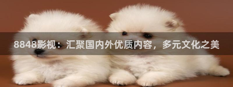 大地影院官网入口：8848影视：汇聚国内外优质内容，多元文化之美