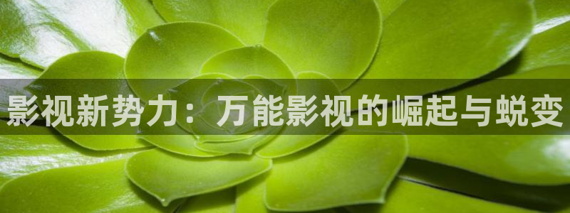 白银大地影院：影视新势力：万能影视的崛起与蜕变