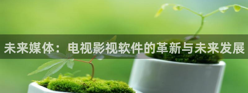 大地电影网中文版：未来媒体：电视影视软件的革新与未来发展
