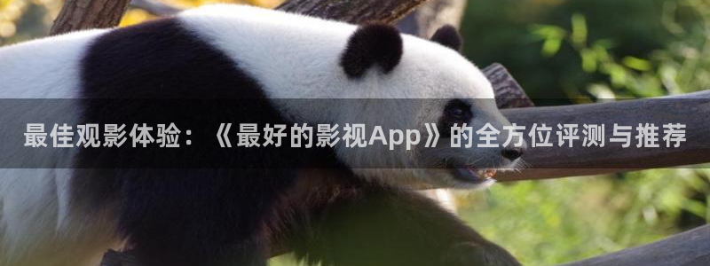 大地免费看电影：最佳观影体验：《最好的影视App》的全方位评测与推荐